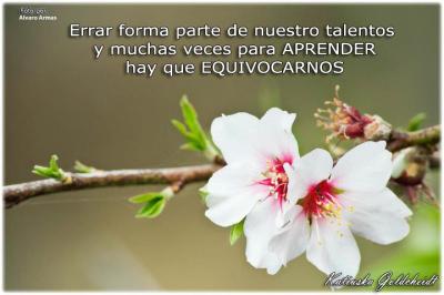 20120510090603-no-te-averguences-de-tus-errores.jpg